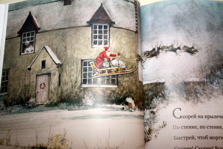 Наши новогодние книги и не только