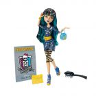 Куклы Monster High. В наличии