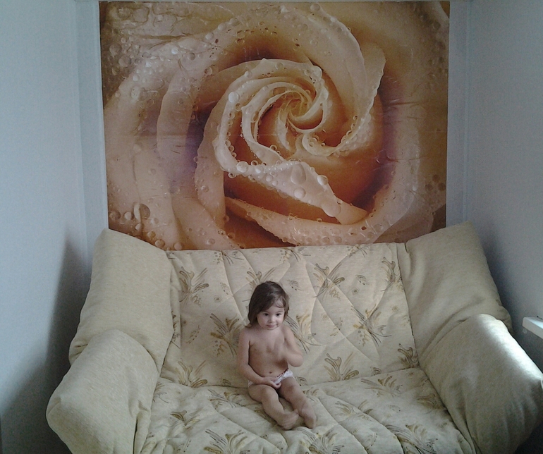 Утренняя роза!