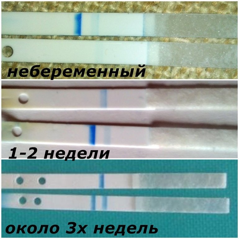 7ed8bcf9feec585952f0af665ac8e271.jpg