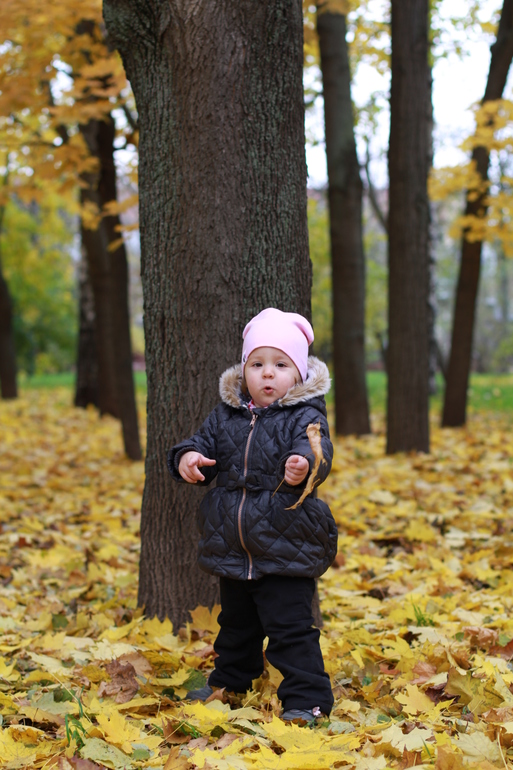 Золотая осень