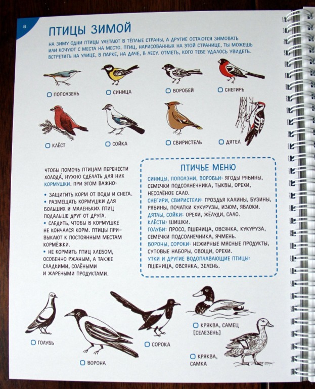 З.Сурова, Ф.Суров. Занималки