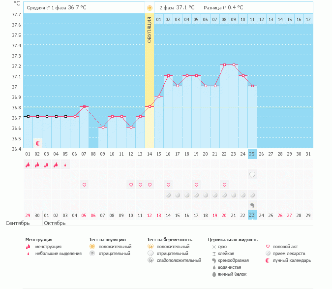 Подскажите, о чем говорит мой график? Есть ли шанс?