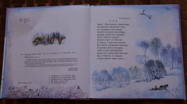 Снежная Звездочка