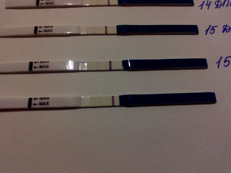 Рано радовалась