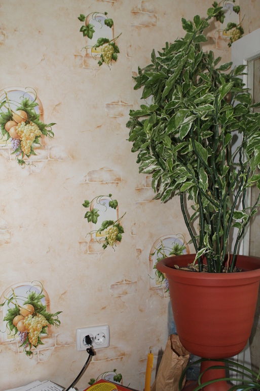 Вот и мы переехали)