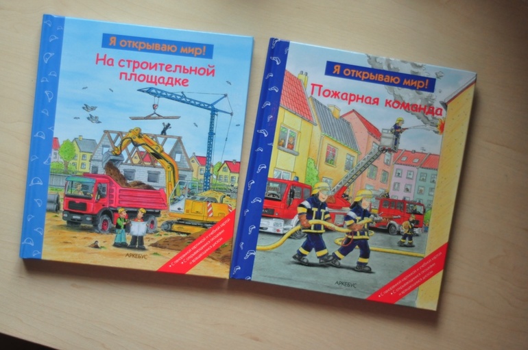 Наши предновогодние, зимние, и другие новые книжки....