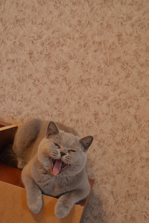 Нашей любимице Год!!!)))