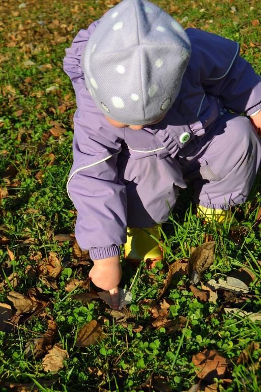 Наша запоздалая Осень!!!