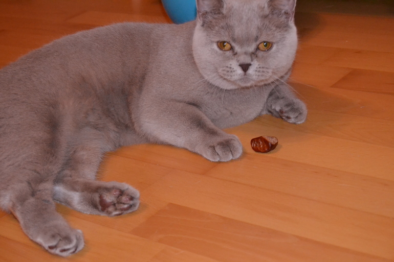 Нашей любимице Год!!!)))