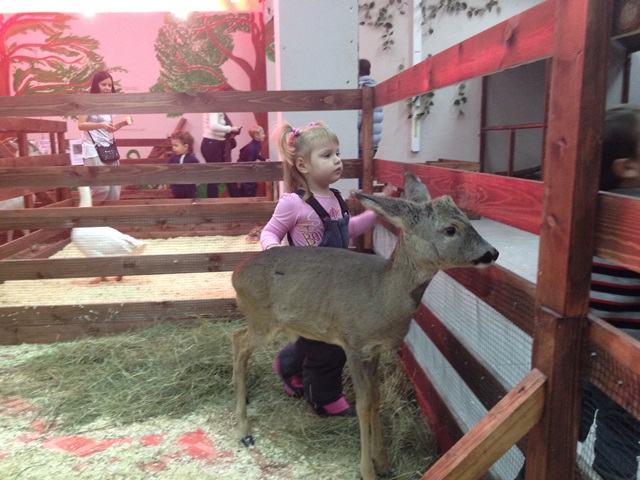 Контактный зоопарк 