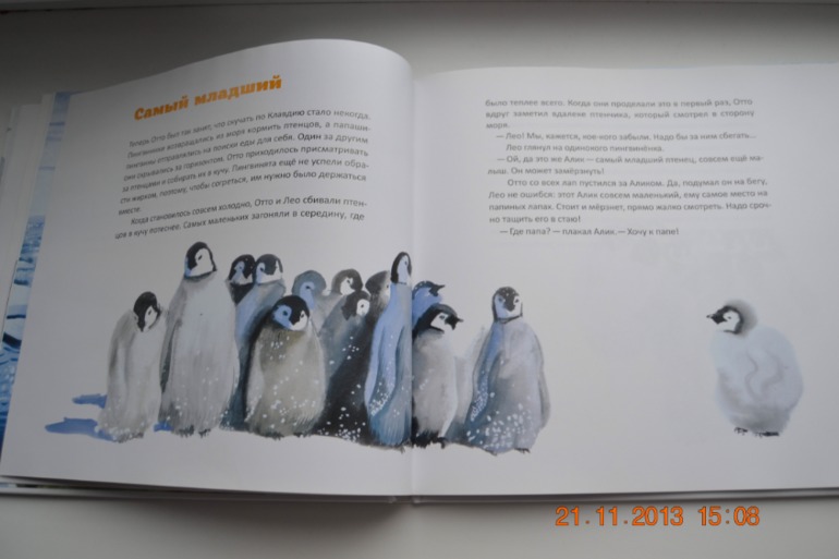 А вот и наше пополнение. Часть 2.