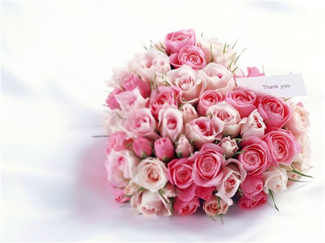a037cc98c8c583a9aaeb3e9024de91a1.jpg