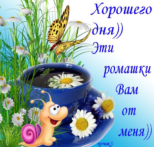 fe36d15ac28dce0dda03270fcf18198f.jpg