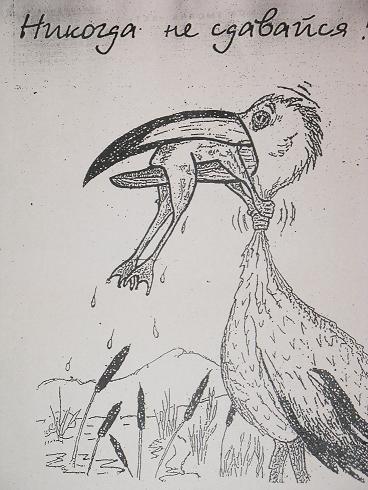 Насколько полезен лечебный шампунь.