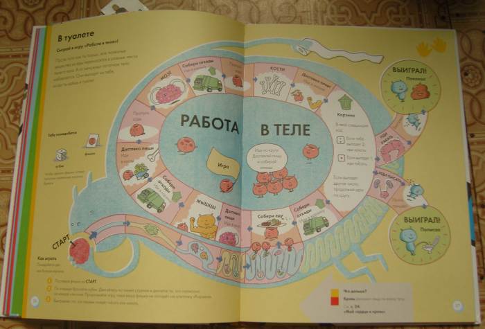 Мое тело.От макушки до пяток.