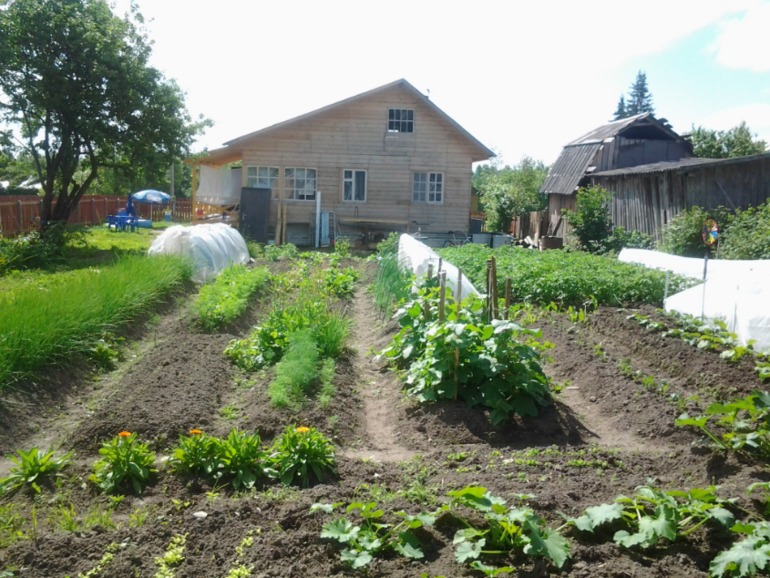 Похвастушки))))) Было и стало!