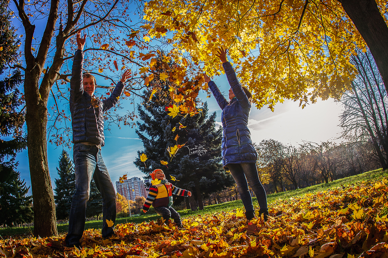 Яркая осень