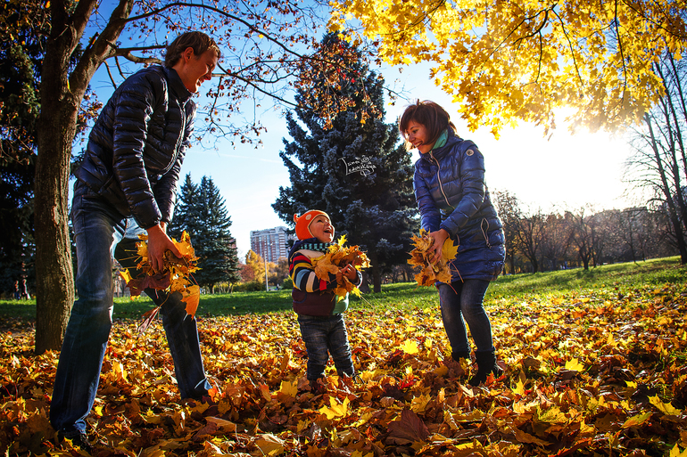 Яркая осень