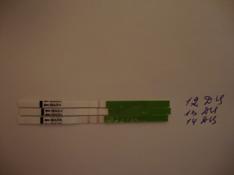 Девочки!Помогите чайнику)))