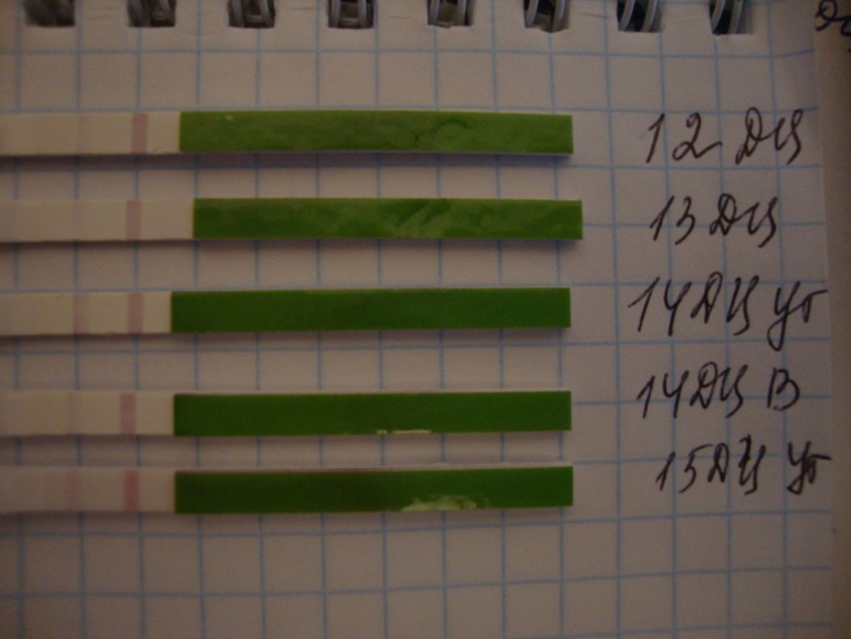 Девочки!Помогите чайнику)))