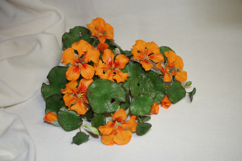 На годик с настурциями.