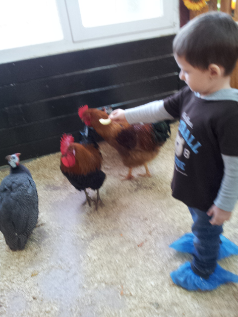 ВВЦ на ВДНХ