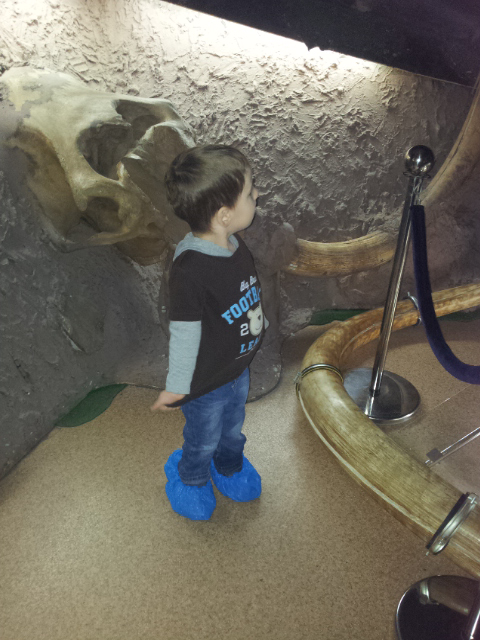 ВВЦ на ВДНХ