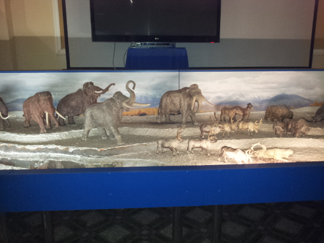 ВВЦ на ВДНХ