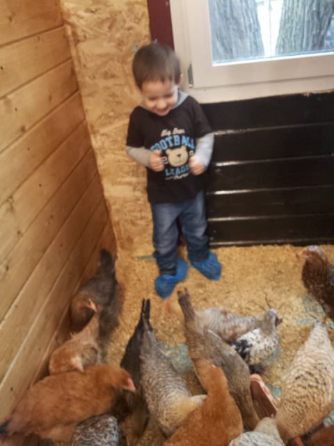 ВВЦ на ВДНХ