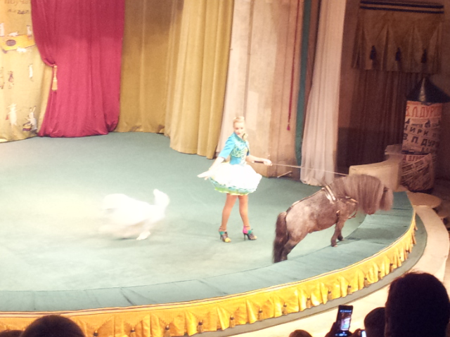 Отчёт о походе к дедушке Дурову!!!!