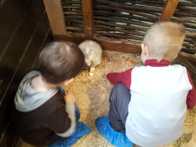 ВВЦ на ВДНХ