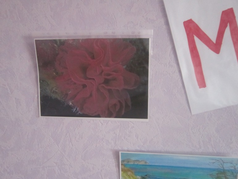 ТН Море. День 1. Знакомство с морем!