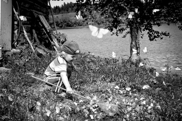 Деревенские зарисовки