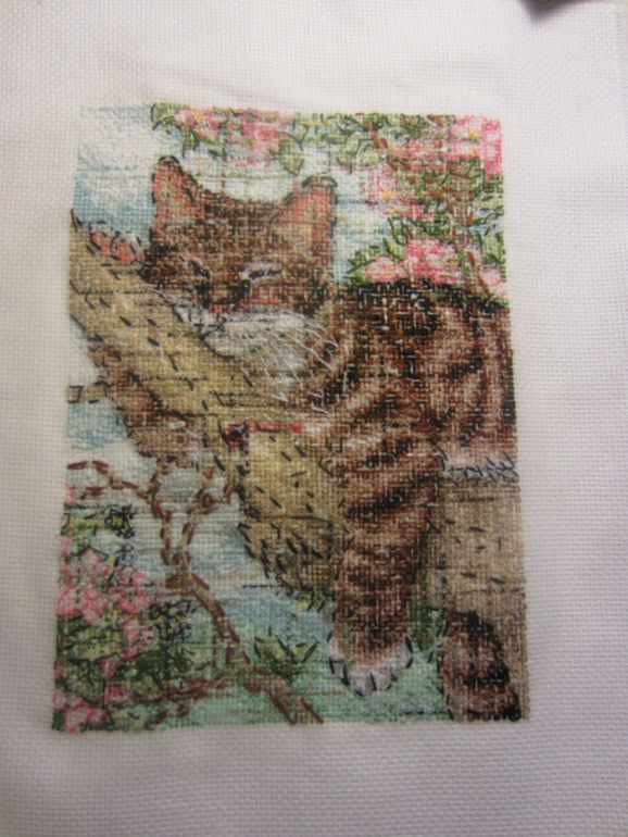 Спящий котенок на дереве