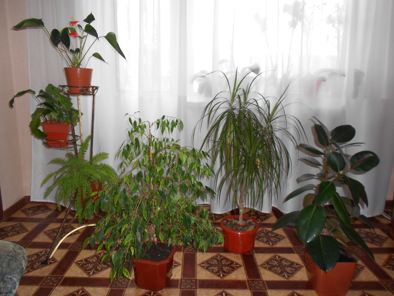 Тоже похвастаюсь