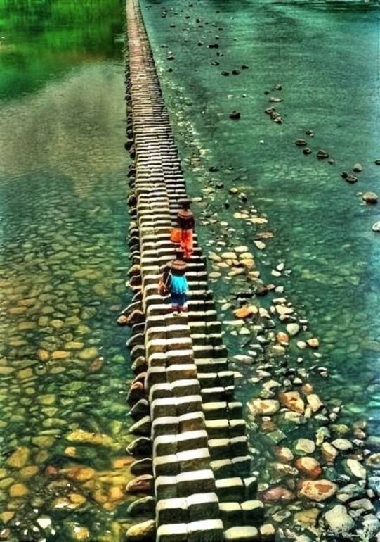 30 снимков месяца)