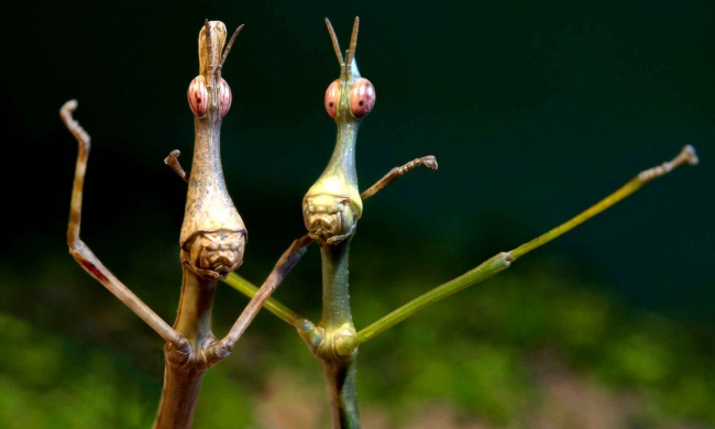 30 снимков месяца)