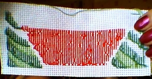 Моя бискорнюшка