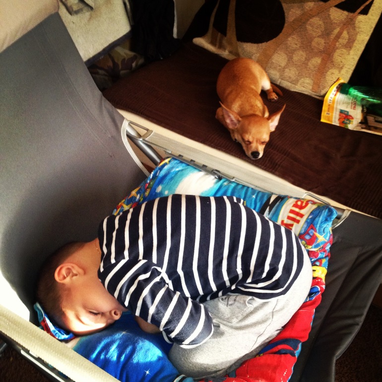 Наш ушастик)))