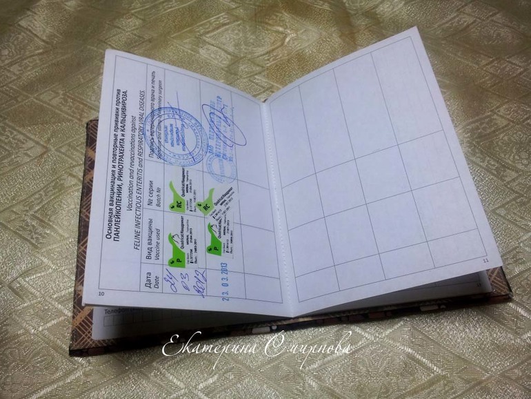 Домик для ветпаспорта