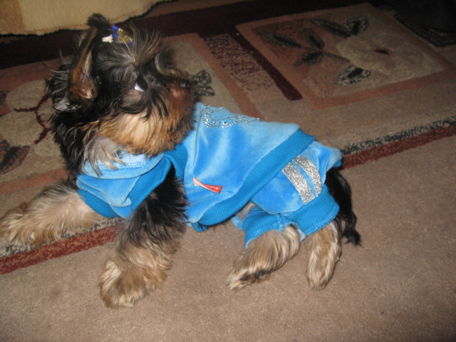 Подрастает мой Арсюша, Арси, Арсинал...))