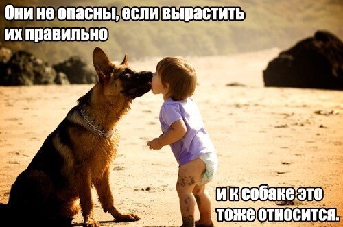 fbfb15b23a9c6a146a531eb145b14724.jpg