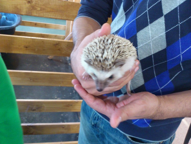 Контактный зоопарк на ВВЦ.