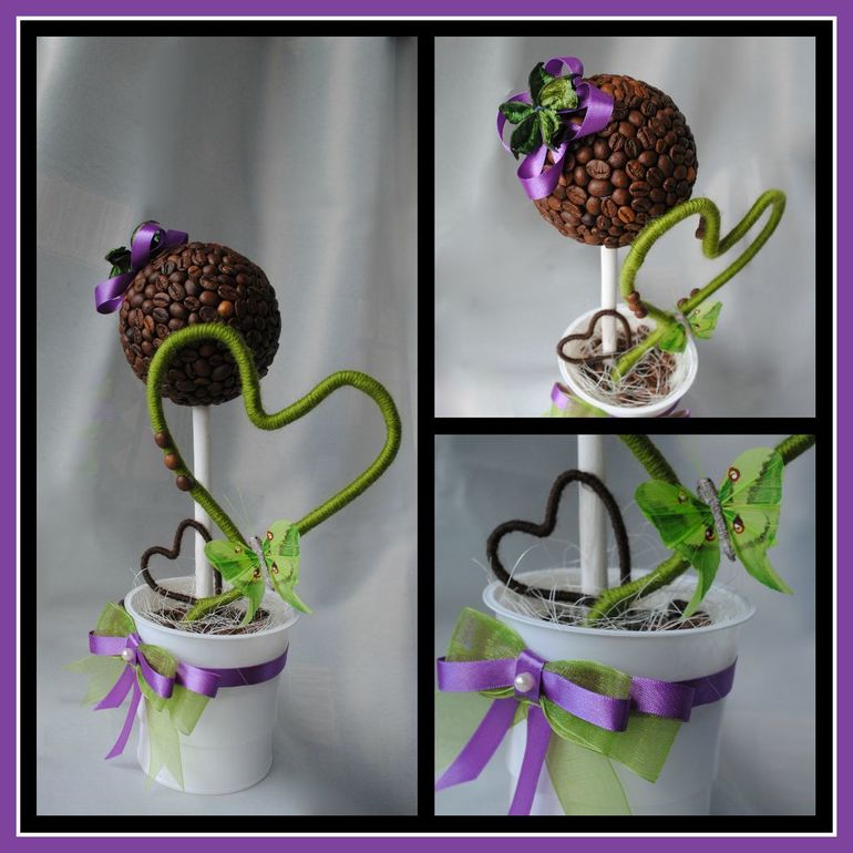 Кофейное дерево в подарок учителю.