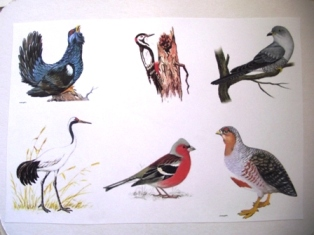 Мини-сказочное погружение)))