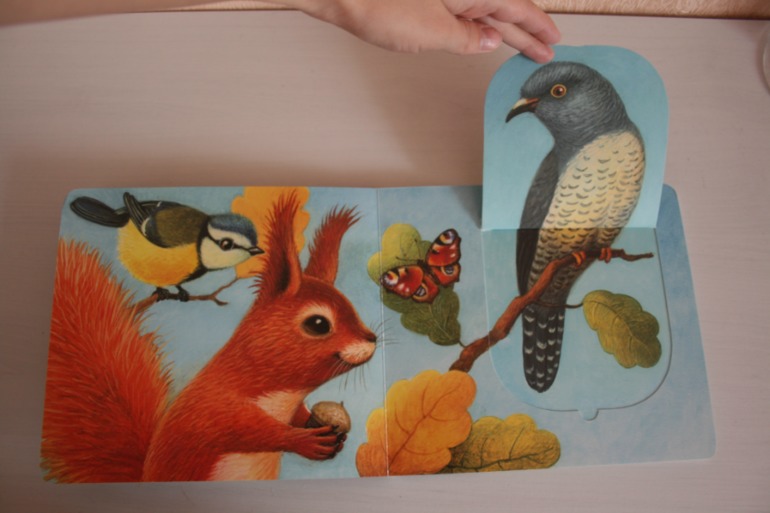 Что мы слышали в лесу и в деревне. Книжки с кармашками.