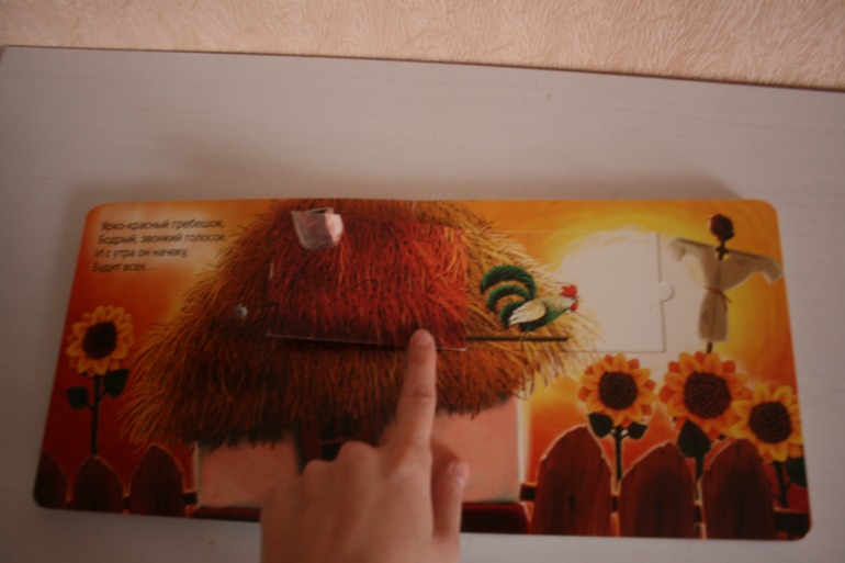 Что мы слышали в лесу и в деревне. Книжки с кармашками.