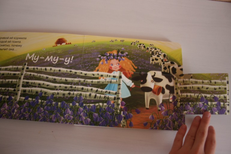 Что мы слышали в лесу и в деревне. Книжки с кармашками.