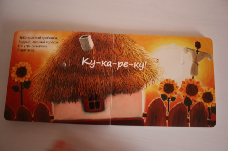 Что мы слышали в лесу и в деревне. Книжки с кармашками.